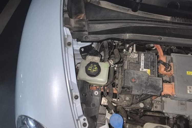 Used ORA Good Cat 2023 401 km Standard Range Luxury Version Lithium Iron Phosphate Engine Bay Right