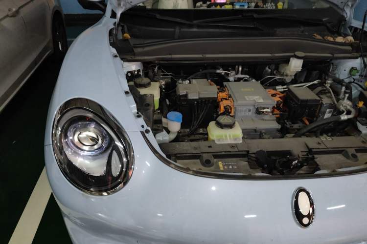 Used ORA Good Cat 2023 401 km Standard Range Premium Version Lithium Iron Phosphate Engine Bay Right