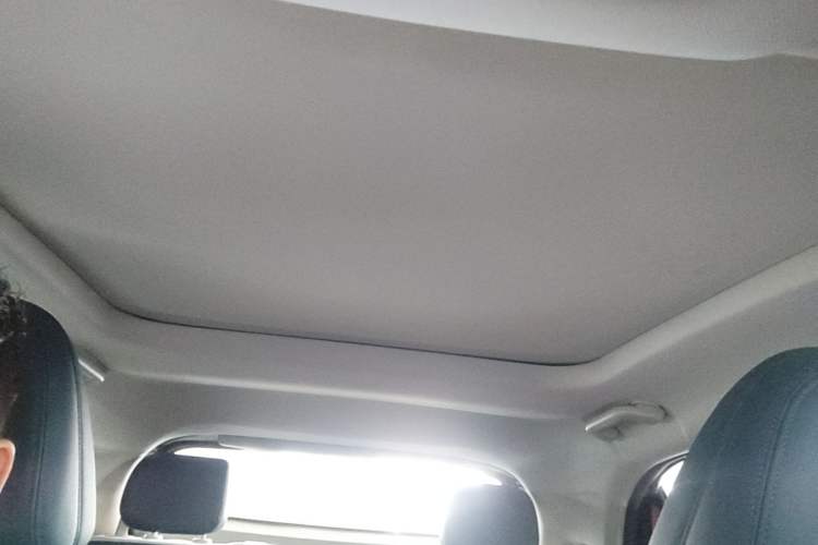 Used ORA Good Cat 2023 401 km Standard Range Comfort Version Lithium Iron Phosphate Headliner