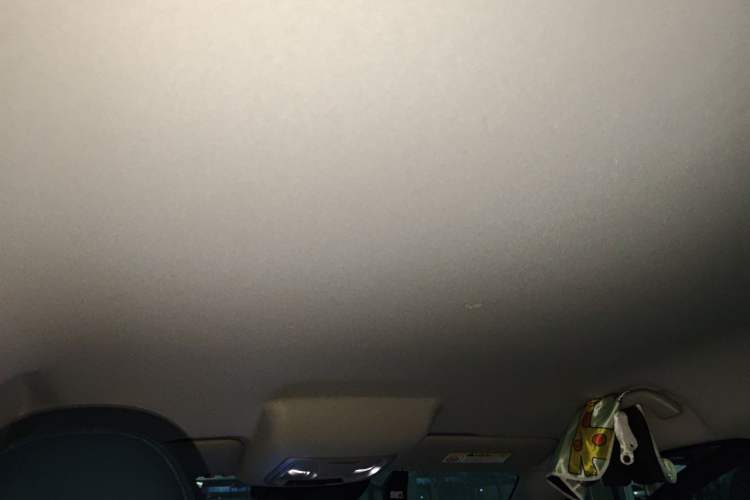Used ORA Good Cat 2023 401 km Standard Range Comfort Version Lithium Iron Phosphate Headliner
