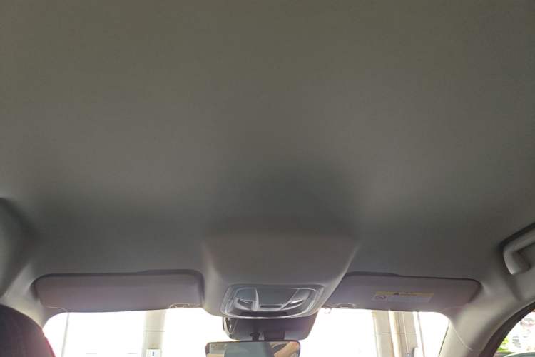 Used ORA Good Cat 2023 401 km Standard Range Comfort Version Lithium Iron Phosphate Headliner