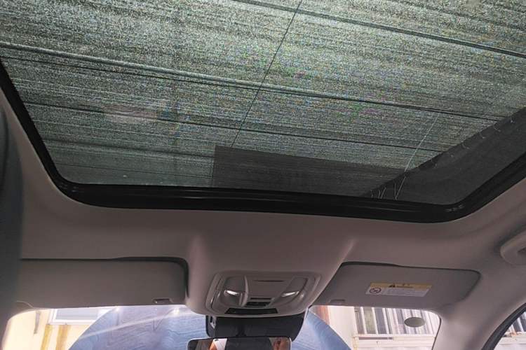 Used ORA Good Cat 2023 401 km Standard Range Premium Version Lithium Iron Phosphate Headliner