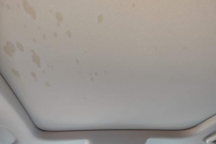 Used ORA Good Cat 2023 401 km Standard Range Prestige Version Lithium Iron Phosphate Headliner