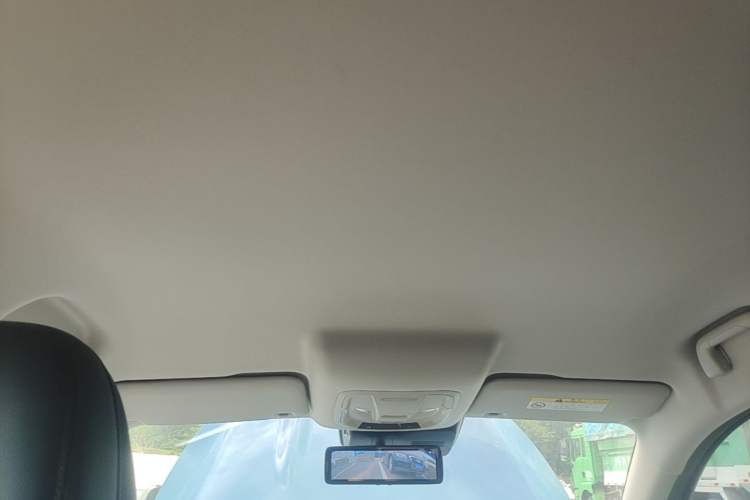 Used ORA Good Cat 2023 401 km Standard Range Luxury Version Lithium Iron Phosphate Headliner
