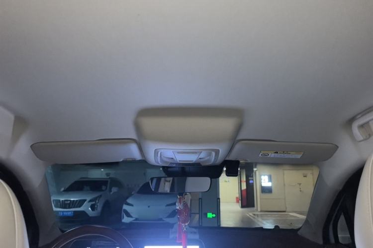 Used ORA Good Cat 2023 401 km Standard Range Luxury Version Lithium Iron Phosphate Headliner