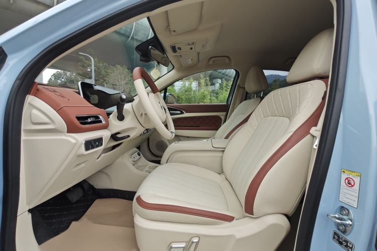 Used ORA Good Cat 2023 401 km Standard Range Luxury Version Lithium Iron Phosphate Interior 2
