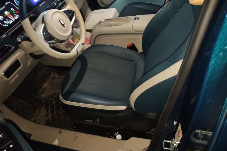 Used ORA Good Cat 2023 401 km Standard Range Comfort Version Lithium Iron Phosphate Left Front Seat
