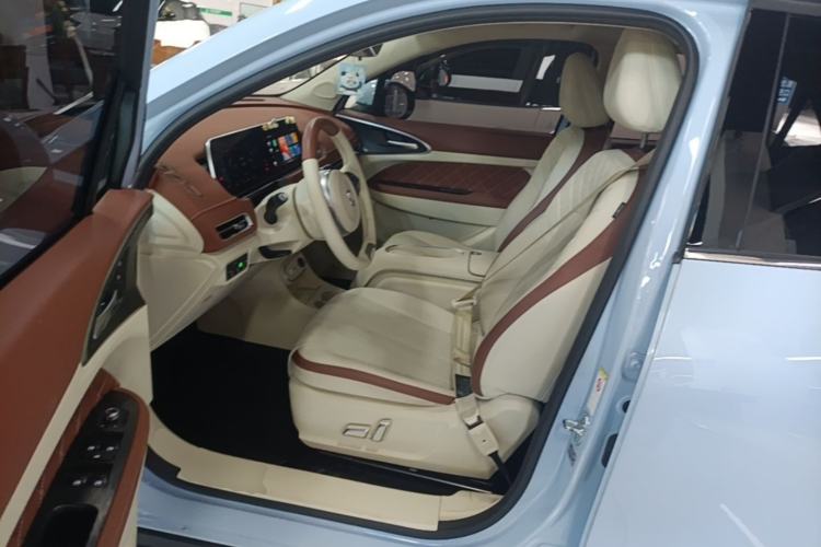 Used ORA Good Cat 2023 401 km Standard Range Premium Version Lithium Iron Phosphate Left Front Seat
