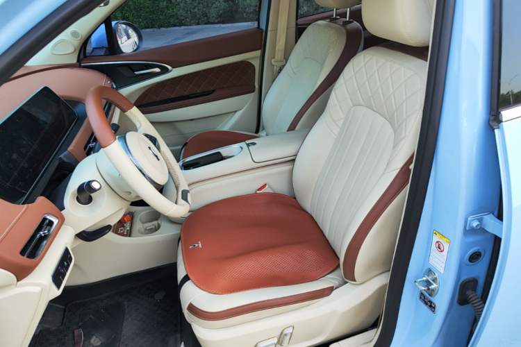 Used ORA Good Cat 2023 401 km Standard Range Luxury Version Lithium Iron Phosphate Left Front Seat