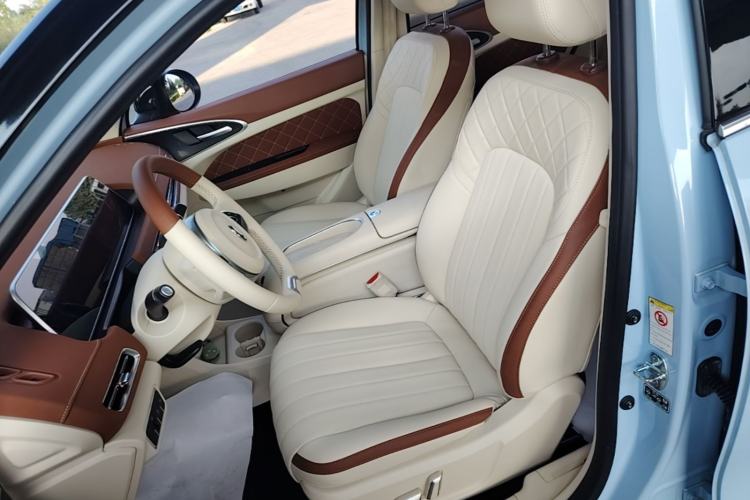 Used ORA Good Cat 2023 401 km Standard Range Luxury Version Lithium Iron Phosphate Left Front Seat