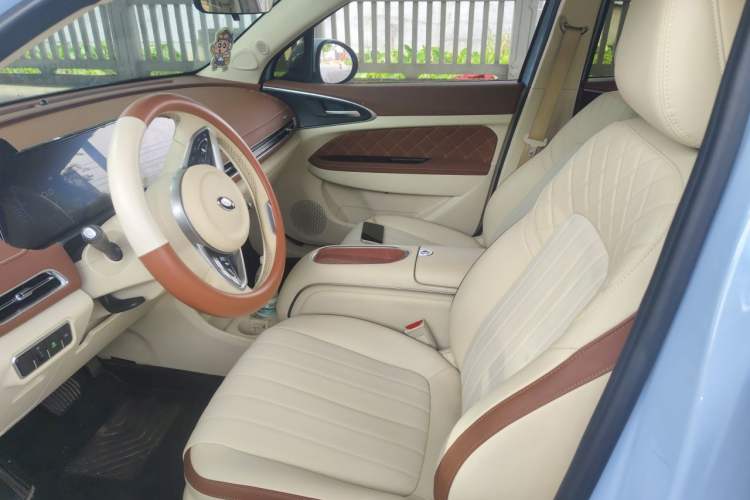 Used ORA Good Cat 2023 501 km Long-Range Premium Version Ternary Lithium Left Front Seat