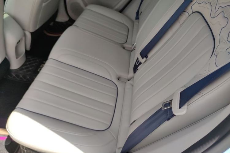 Used ORA Good Cat 2023 401 km Standard Range Premium Trim Ternary Lithium Left Rear Seat