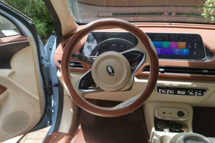 Used ORA Good Cat 2023 401 km Standard Range Luxury Version Lithium Iron Phosphate Steering Wheel