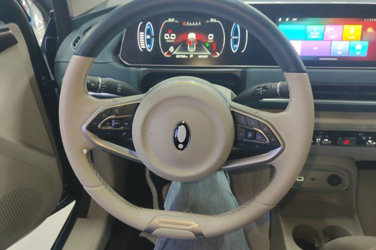 Used ORA Good Cat 2023 401 km Standard Range Comfort Version Lithium Iron Phosphate Steering Wheel