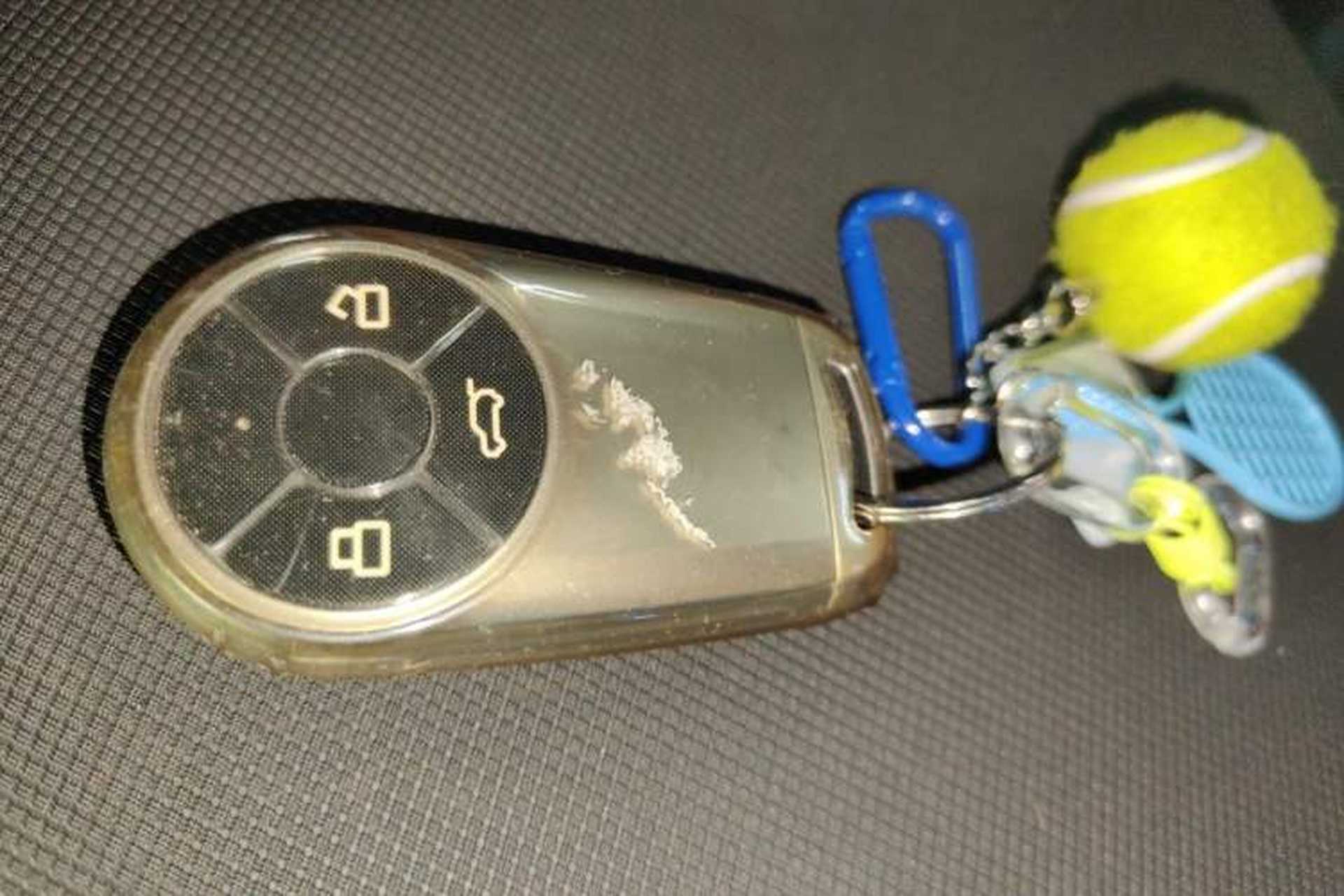 Used ORA Good Cat 2023 401 km Standard Range Premium Version Lithium Iron Phosphate Vehicle Key