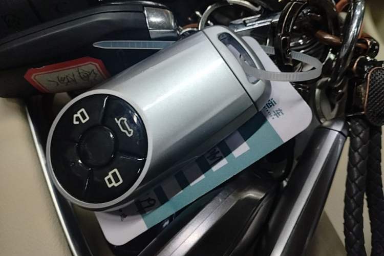 Used ORA Good Cat 2023 401 km Standard Range Premium Version Lithium Iron Phosphate Vehicle Key