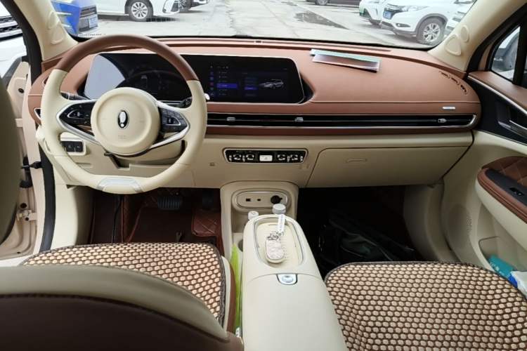 Used ORA Good Cat 2023 401 km Standard Range Luxury Version Lithium Iron Phosphate Center Console