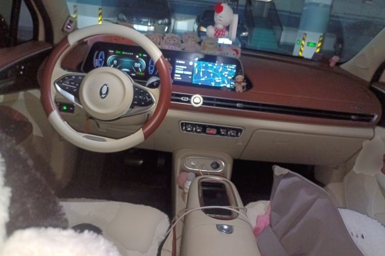 Used ORA Good Cat 2023 401 km Standard Range Premium Version Lithium Iron Phosphate Center Console
