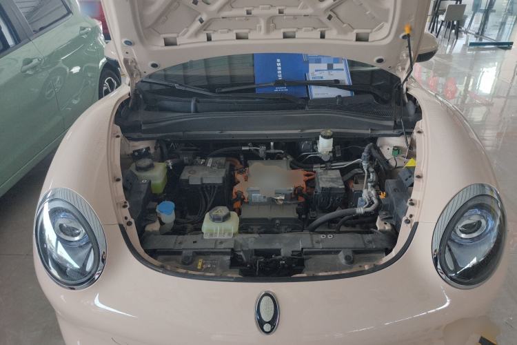 Used ORA Good Cat 2023 401 km Standard Range Premium Version Lithium Iron Phosphate Engine Bay
