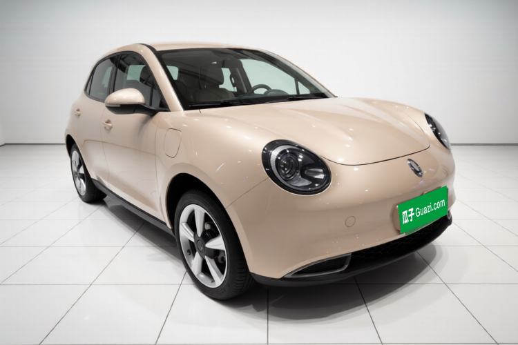Used ORA Good Cat 2023 401 km Standard Range Premium Trim Ternary Lithium Exterior 2