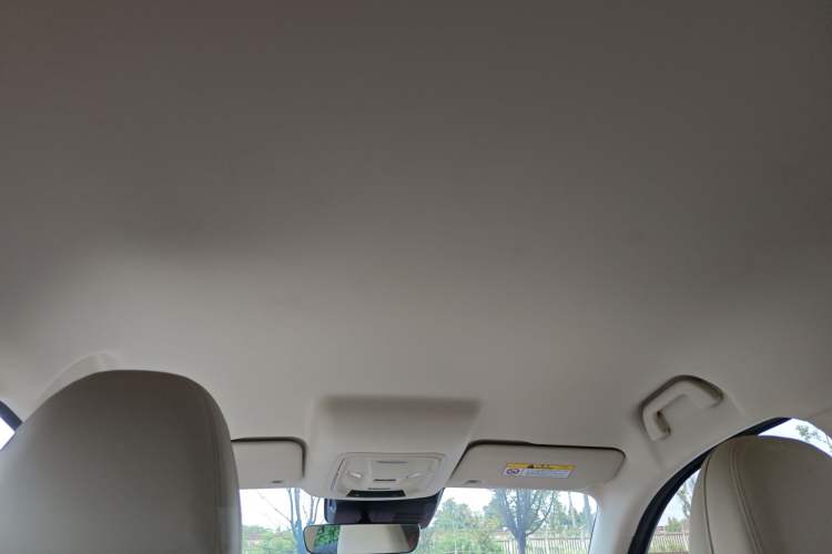 Used ORA Good Cat 2023 401 km Standard Range Luxury Version Lithium Iron Phosphate Headliner