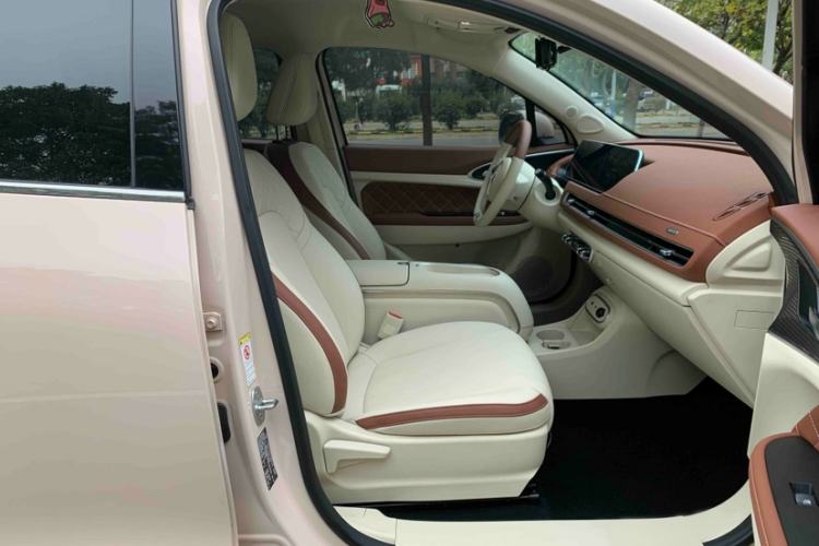 Used ORA Good Cat 2023 401 km Standard Range Luxury Version Lithium Iron Phosphate Right Front Seat