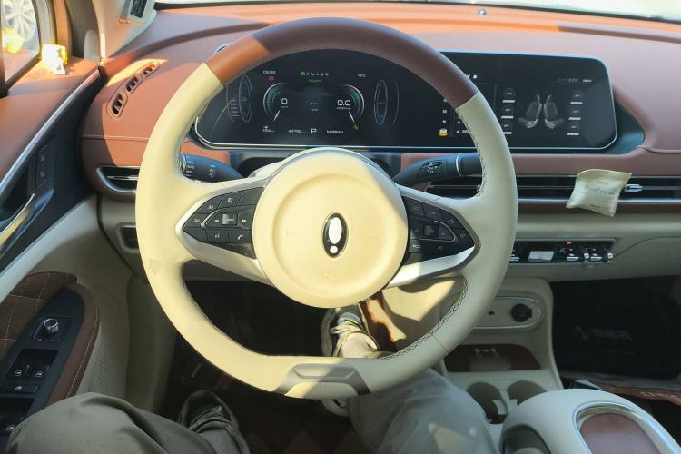 Used ORA Good Cat 2023 401 km Standard Range Premium Trim Ternary Lithium Steering Wheel