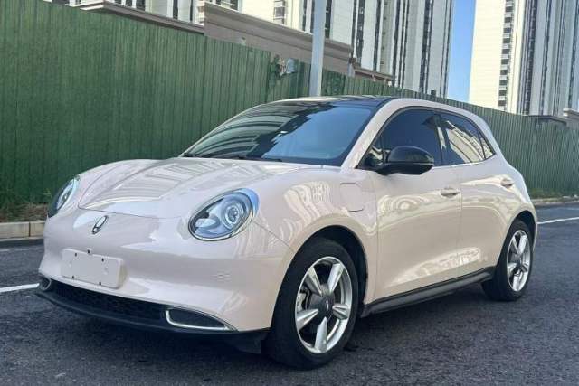 Used ORA Good Cat 2023 401 km Standard Range Premium Trim Ternary Lithium
