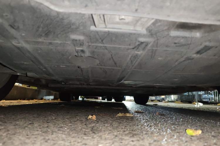Used ORA Good Cat 2023 401 km Standard Range Premium Version Lithium Iron Phosphate Chassis Front