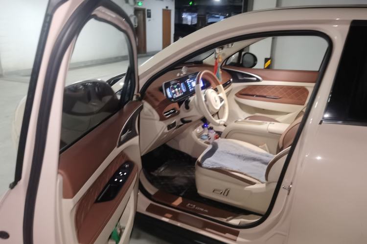 Used ORA Good Cat 2023 401 km Standard Range Luxury Version Lithium Iron Phosphate Driver Seat
