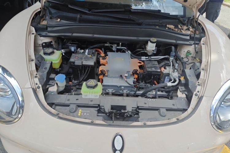 Used ORA Good Cat 2023 401 km Standard Range Luxury Version Lithium Iron Phosphate Engine Bay