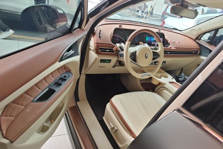Used ORA Good Cat 2023 401 km Standard Range Luxury Version Lithium Iron Phosphate Driver Seat