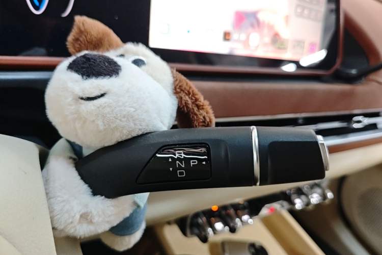 Used ORA Good Cat 2023 401 km Standard Range Luxury Version Lithium Iron Phosphate Gear Lever