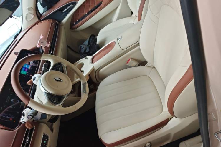 Used ORA Good Cat 2023 401 km Standard Range Luxury Version Lithium Iron Phosphate Left Front Seat