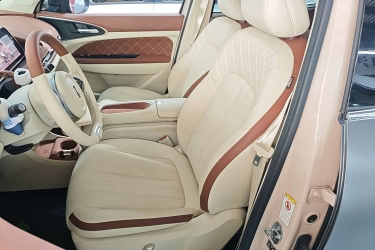 Used ORA Good Cat 2023 401 km Standard Range Luxury Version Lithium Iron Phosphate Left Front Seat
