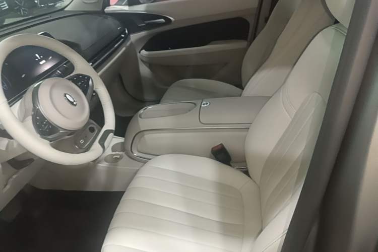 Used ORA Good Cat 2023 401 km Standard Range Luxury Version Lithium Iron Phosphate Left Front Seat