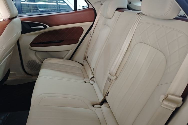 Used ORA Good Cat 2023 401 km Standard Range Luxury Version Lithium Iron Phosphate Left Rear Seat