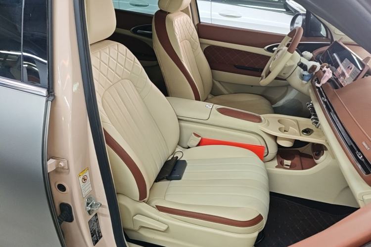 Used ORA Good Cat 2023 401 km Standard Range Luxury Version Lithium Iron Phosphate Right Front Seat