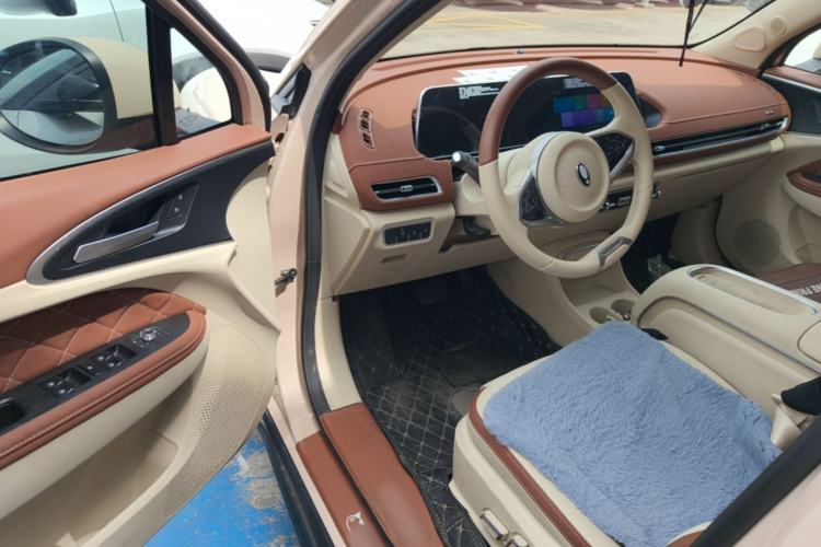 Used ORA Good Cat 2023 401 km Standard Range Luxury Version Lithium Iron Phosphate Driver Seat