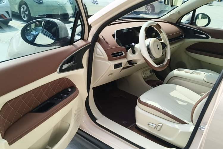 Used ORA Good Cat 2023 401 km Standard Range Luxury Version Lithium Iron Phosphate Driver Seat
