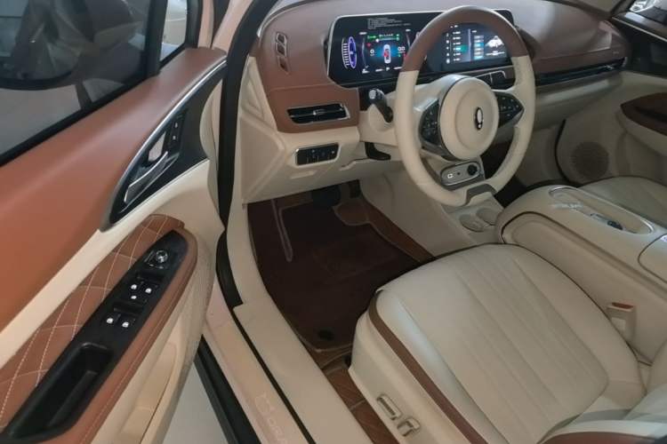 Used ORA Good Cat 2023 401 km Standard Range Luxury Version Lithium Iron Phosphate Driver Seat