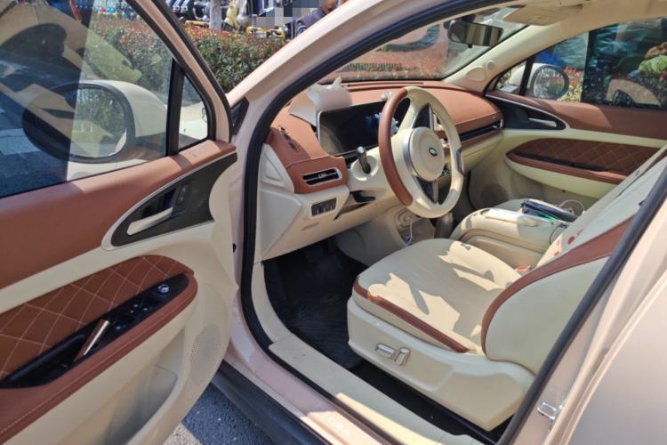 Used ORA Good Cat 2023 401 km Standard Range Luxury Version Lithium Iron Phosphate Driver Seat