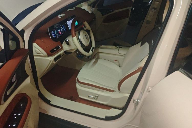 Used ORA Good Cat 2023 401 km Standard Range Luxury Version Lithium Iron Phosphate Driver Seat
