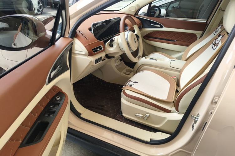 Used ORA Good Cat 2023 401 km Standard Range Luxury Version Lithium Iron Phosphate Driver Seat