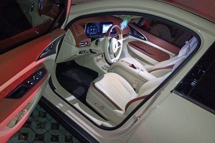 Used ORA Good Cat 2023 401 km Standard Range Luxury Version Lithium Iron Phosphate Driver Seat