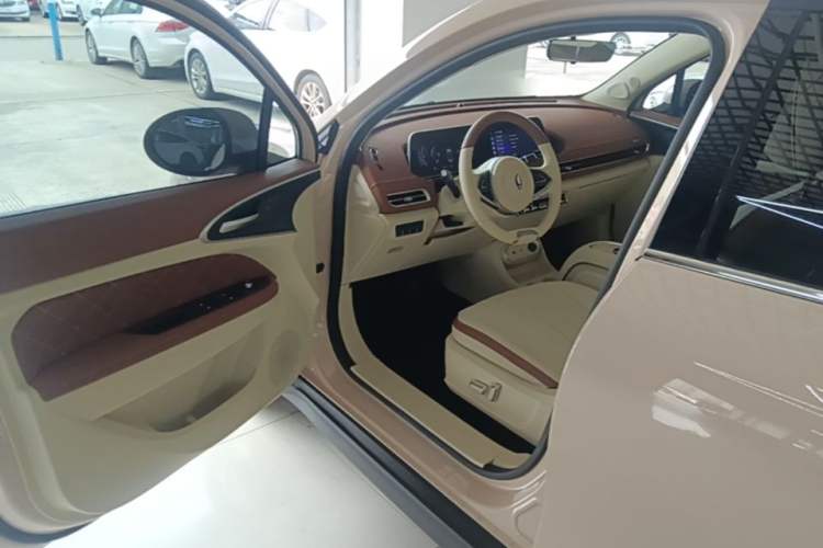 Used ORA Good Cat 2023 401 km Standard Range Luxury Version Lithium Iron Phosphate Driver Seat