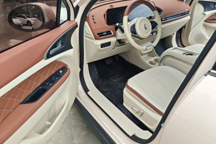 Used ORA Good Cat 2023 401 km Standard Range Luxury Version Lithium Iron Phosphate Driver Seat