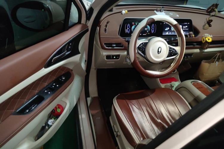 Used ORA Good Cat 2023 401 km Standard Range Luxury Version Lithium Iron Phosphate Driver Seat