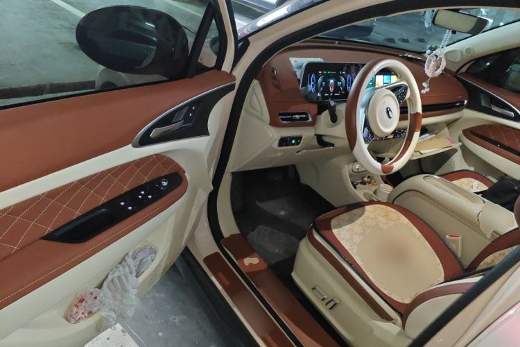 Used ORA Good Cat 2023 401 km Standard Range Luxury Version Lithium Iron Phosphate Driver Seat