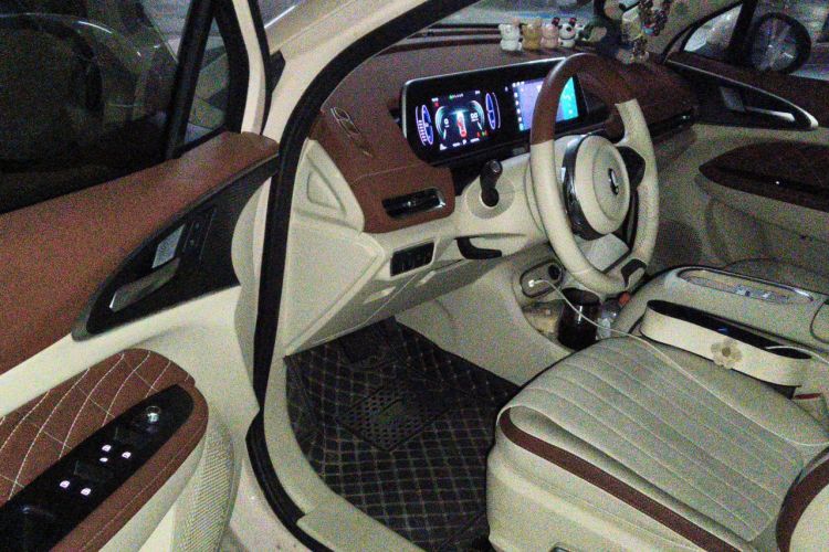 Used ORA Good Cat 2023 401 km Standard Range Luxury Version Lithium Iron Phosphate Driver Seat